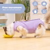 Avont Cat Recovery Suit Post-Surgery Onesie, Breathable Cone-of-Shame Alternative Bodysuit