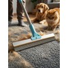 DELOMO 54” Carpet Rake for Pet Hair Removal, Dual-Sided Rug