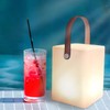 Outdoor Table Lamp with Remote Control, Warm White, 8 Colours,