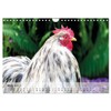 Chickens in the Garden Wall Calendar 2025 DIN A4 Landscape