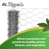 Digger’s 1-Gallon Heavy-Duty Wire Basket - Gopher Wire Baskets for