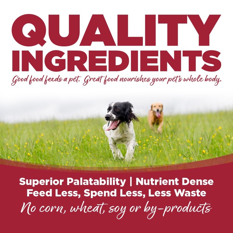 NutriSource Choice Dry Dog Food, Beef Meal & Barley Recipe,