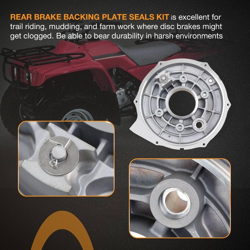 Rear Brake Backing Plate & Bearing Seals Kit Compatible with