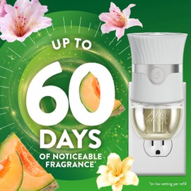 Air Wick Plug In Scented Oil Refill,Summer Delights, 10 ct