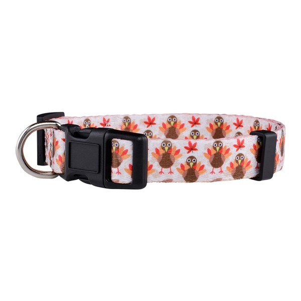 Native Pup Thanksgiving Dog Collar, Cute Fall, Autumn, Turkey Holiday