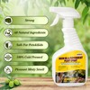 2 Pack Neem Oil & Peppermint Plant Spray – Natural