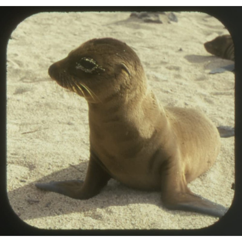 Galapagos - Compatible with View-Master 2 Reel Set - New