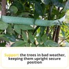 Green Tree Tie Webbing Strap 3/4" x 250' - Heavy