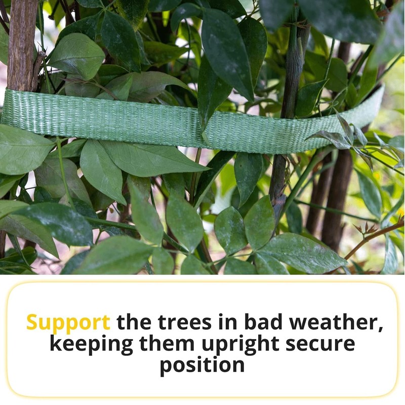 Green Tree Tie Webbing Strap 3/4" x 250' - Heavy