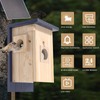 Birdhouse Camera with Solar Powered, HD Vision Camera Watch Bird