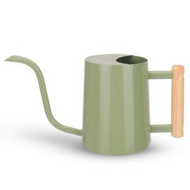 CEWOR Sage Green 35 Oz Metal Watering Can with Long Spout for Indoor & Outdoor Plants