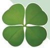 Large 210mm 'Four Leaf Clover' Permanent Sticker Decal for Cars/Windows/Bins/Walls