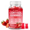 Cortisol Gummies Ashwagandha Rhodiola, Strawberry Wellness Chews for Adults