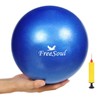 Small Pilates Ball with Pump 9 Inch Mini Bender Ball