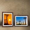 Seseat Rustic Brown 8x10 Picture Frames with Mat - Set
