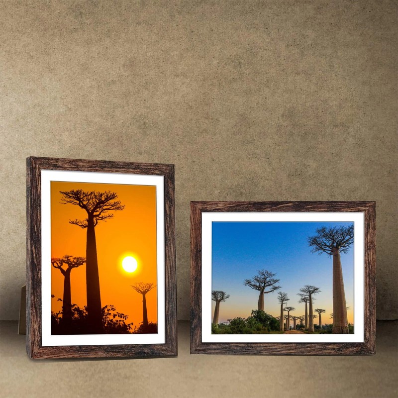 Seseat Rustic Brown 8x10 Picture Frames with Mat - Set
