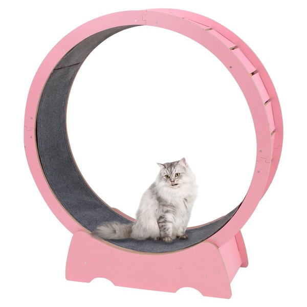 Cat Exercise Wheel for Indoor Cats, 40 inch Large Cat