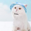 Cat/Dog Hat for Cats Only with Adjustable String Pet Hat