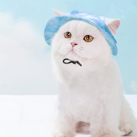 Cat/Dog Hat for Cats Only with Adjustable String Pet Hat Small Pet for Small and Medium Cats Birthday Party Costume Decoration (Large, Blue)