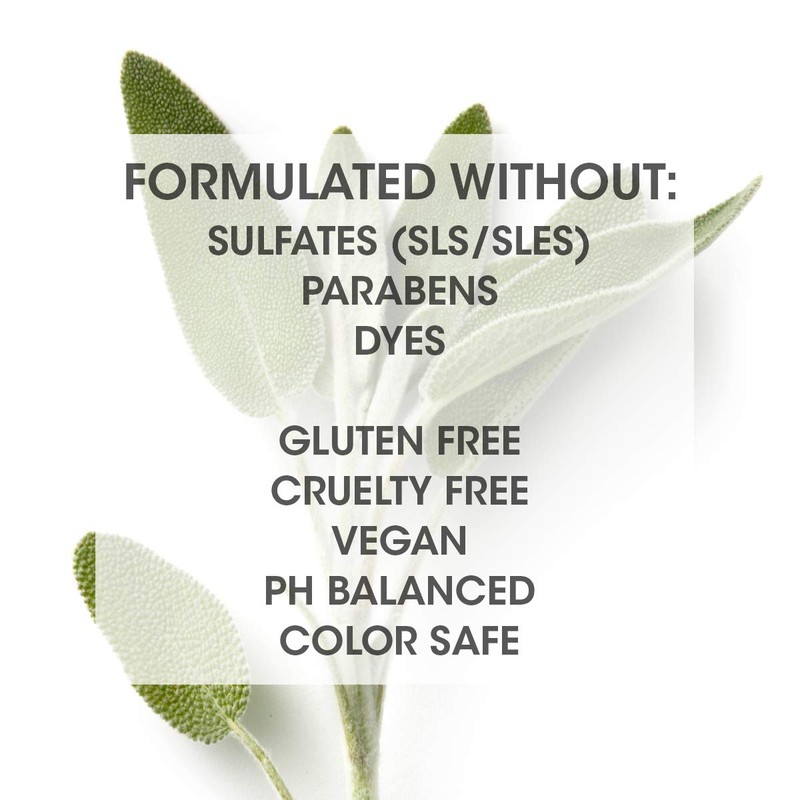 SEVEN Gazar Lustre Shampoo, 10.8 fl. oz.