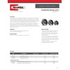 RectorSeal Guardian Drain Lock GDL4000 Commercial Floor Sink Locking Strainer,