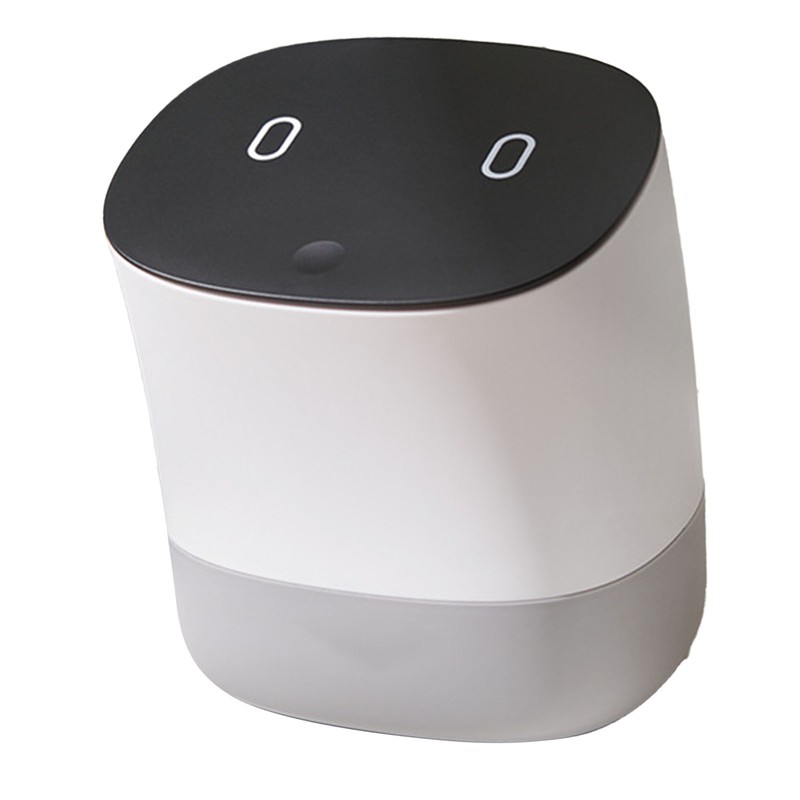 Mini Trash Can with Lid Small Desktop Trash Can Detachable