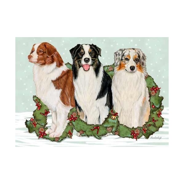 Australian Shepherd Christmas Cards : 10 Holiday Cards with White Envelopes - Adorable!