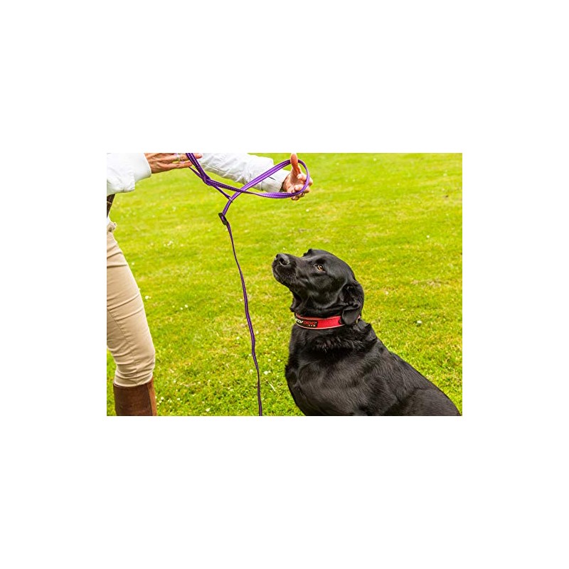 Gencon Clip To Collar Right Red/Black