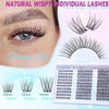 Lash Cluster Wispy 래쉬 클러스터 위스피 속눈썹 천연 CC-컬리 잔루플라이