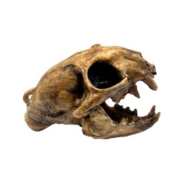 Aztec Death Whistle - Apex Predator