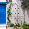 2 Pack Metal Garden Trellis - 19.7"W x 71"H Rustproof