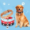 Dog Collar with Star Studs and Bell, Dog Necklace for