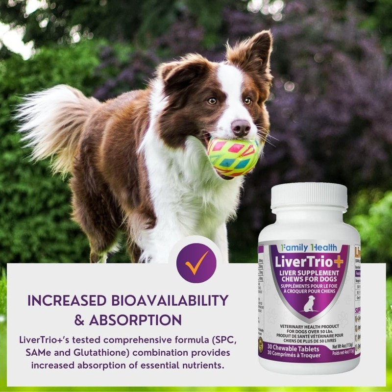 LiverTrio+ Comprehensive Liver Support Supplement for Large Dogs. Flavorful Chewable