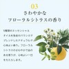 ra・kasuta aromaesute Protect & ripea Hair Cream
