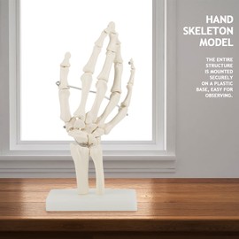 Medical Hand Skeleton,Hand Skeleton Model,PVC Plastic Medical Skeleton Model Anatomical Life Size Human Hand Joint Study Hand Model for Schools, Hospital, Physical Health Teaching