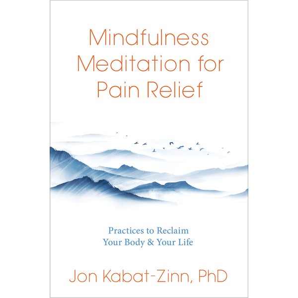 Mindfulness Meditation for Pain Relief: Practices to Reclaim Your Body