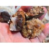 1/4 lb Deer Creek Fire Agate Choice To Mid Grade