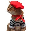 Cat and Human MATCHING berets! Twinning with the feline, with
