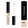 Manhattan Wake Up Concealer