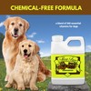 Flea Free Food Supplement for Natural Pet Products - Natural