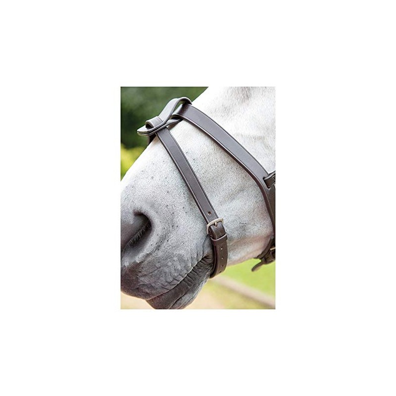 Shires Velociti GARA Flash Strap Extra Full Havana