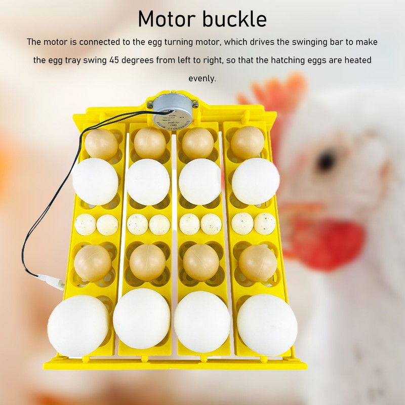 Egg Turning Tray Multifunction Automatic Egg Turner Incubator Tray for