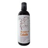 Shampoo De Romero Shampoo Anticaída De Sabila Y Jojoba
