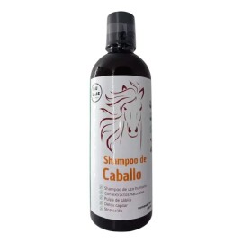 Shampoo De Romero Shampoo Anticaída De Sabila Y Jojoba