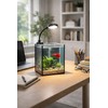 LYPHARD AQUARIUMS Mini Aquarium Set Fish Tank Shrimp Tank Snails