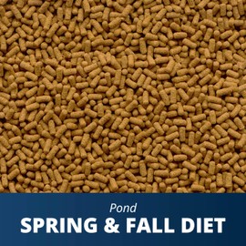 TetraPond Spring & Fall Diet Floating Pond Sticks, 1.72-Pound