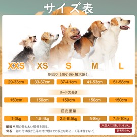 BEAUTYZOO Dog Harness Lead Set for Small Dogs and Medium Dogs, Pull Resistant, Adjustable, Breathable Mesh, Lightweight, Reflective Material, Easy to Put on and Take Off, Comfortable, Stylish, Walking