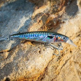 AKAMI Fishing Hook, Real Minnow 10CM 14GR, CEFALO LLISA, 1 piece, for trolling and spinning