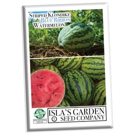 Striped Klondike Blue Ribbon Watermelon Seeds for Planting, 100+ Heirloom Seeds Per Packet, (Isla's Garden Seeds), Non GMO Seeds, Botanical Name: Citrullus lanatus, Great Home Garden Gift