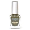 Canmake Colorful Nails N73 Matcha Syrup, High Color, Quick Drying,